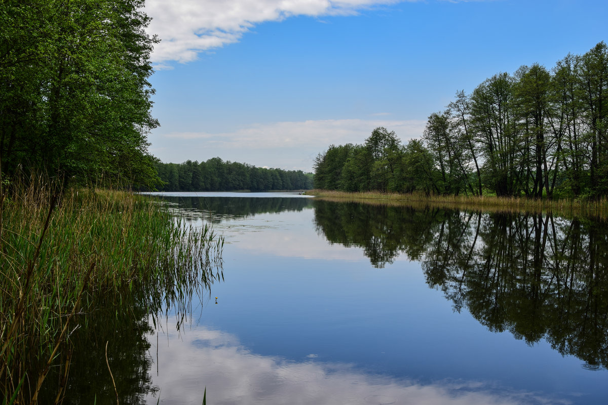 Озеро - Наталья Усенко