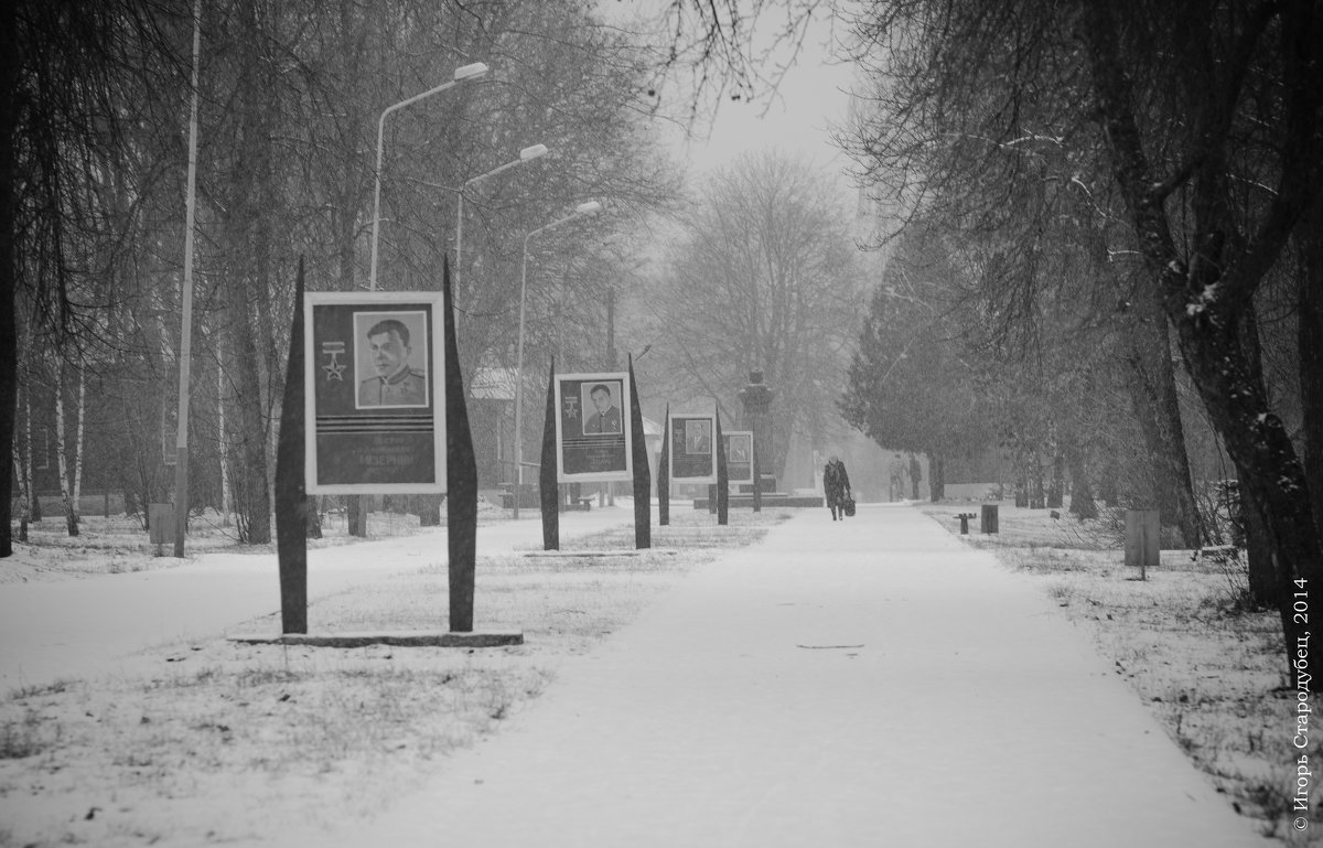 В парке - Игорь Стародубец