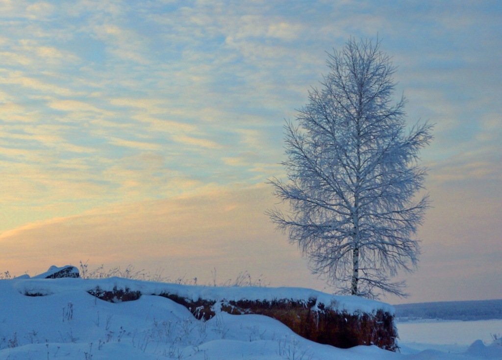 Зимой в Ильинском - Валерий Симонов