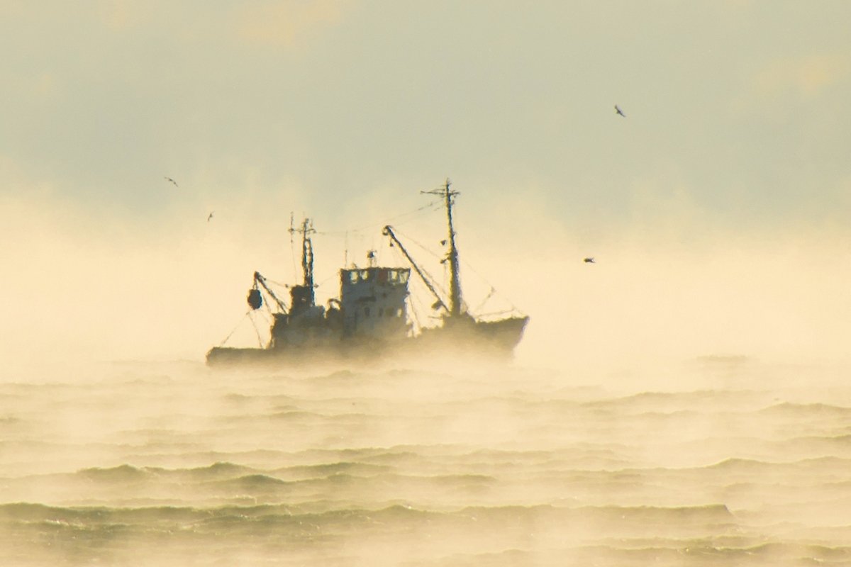 рыбак в тумане - Алексей Яковлев