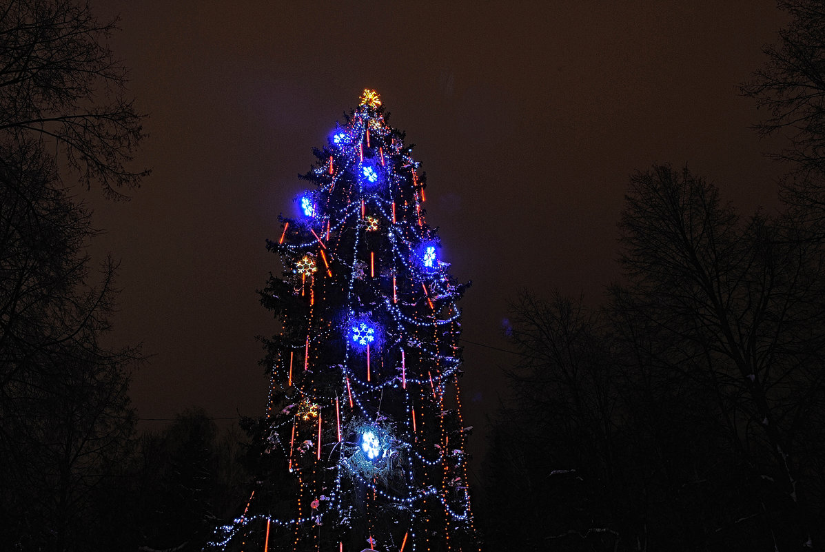 Ёлки в городе Уфе - Геннадий 