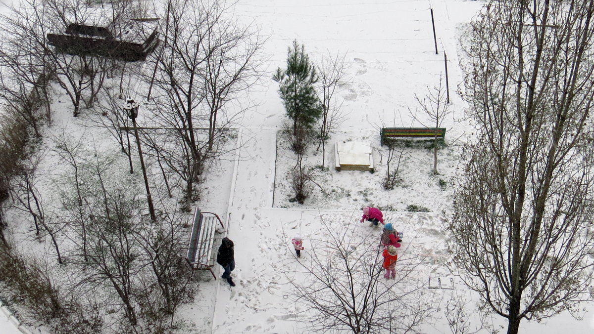 Первый снег - Валерий Дворников