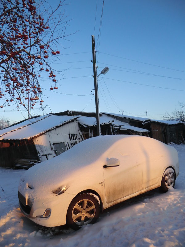 Город Западная Двина, январь 2015 - Владимир Павлов