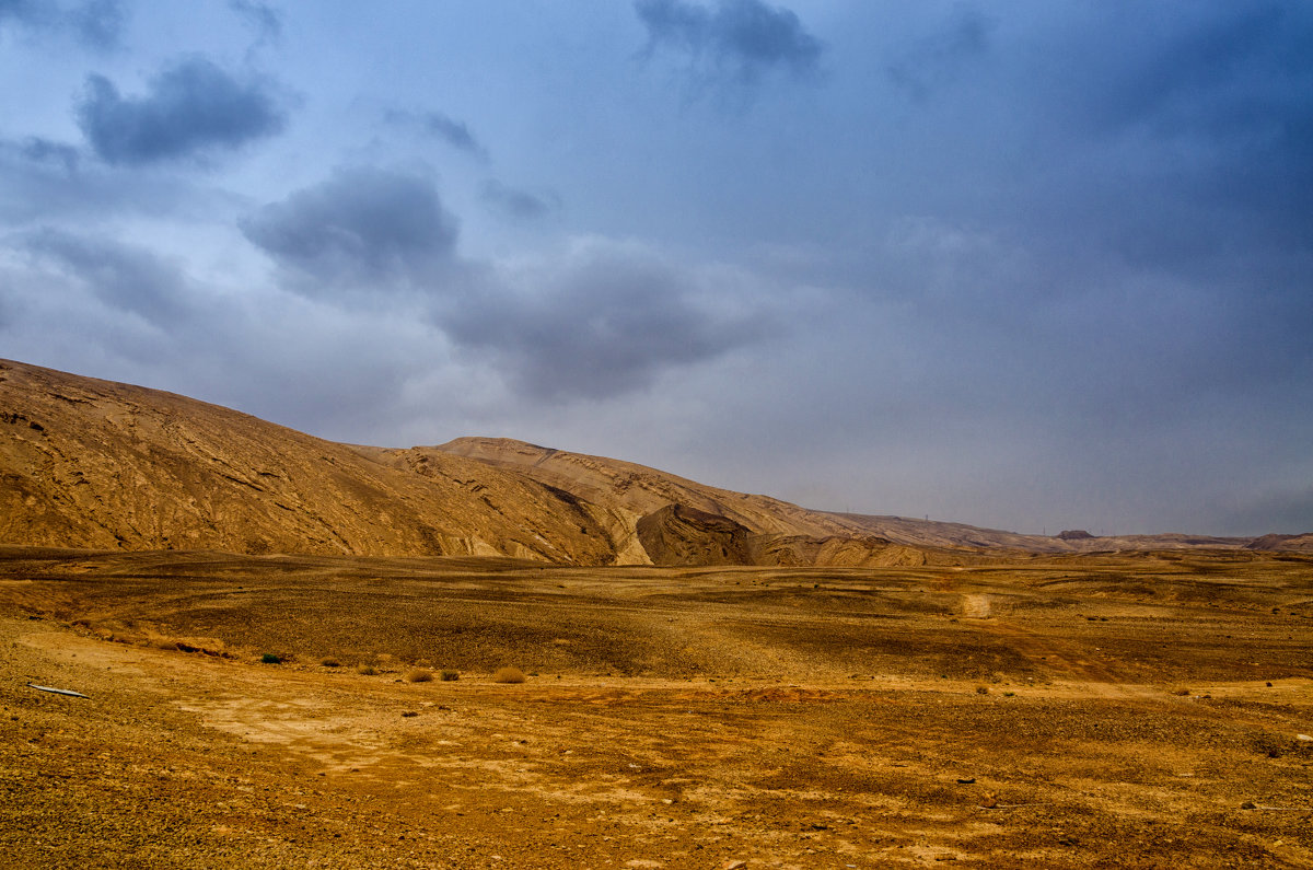 Израиль, пустыня Арава - Владимир Горубин