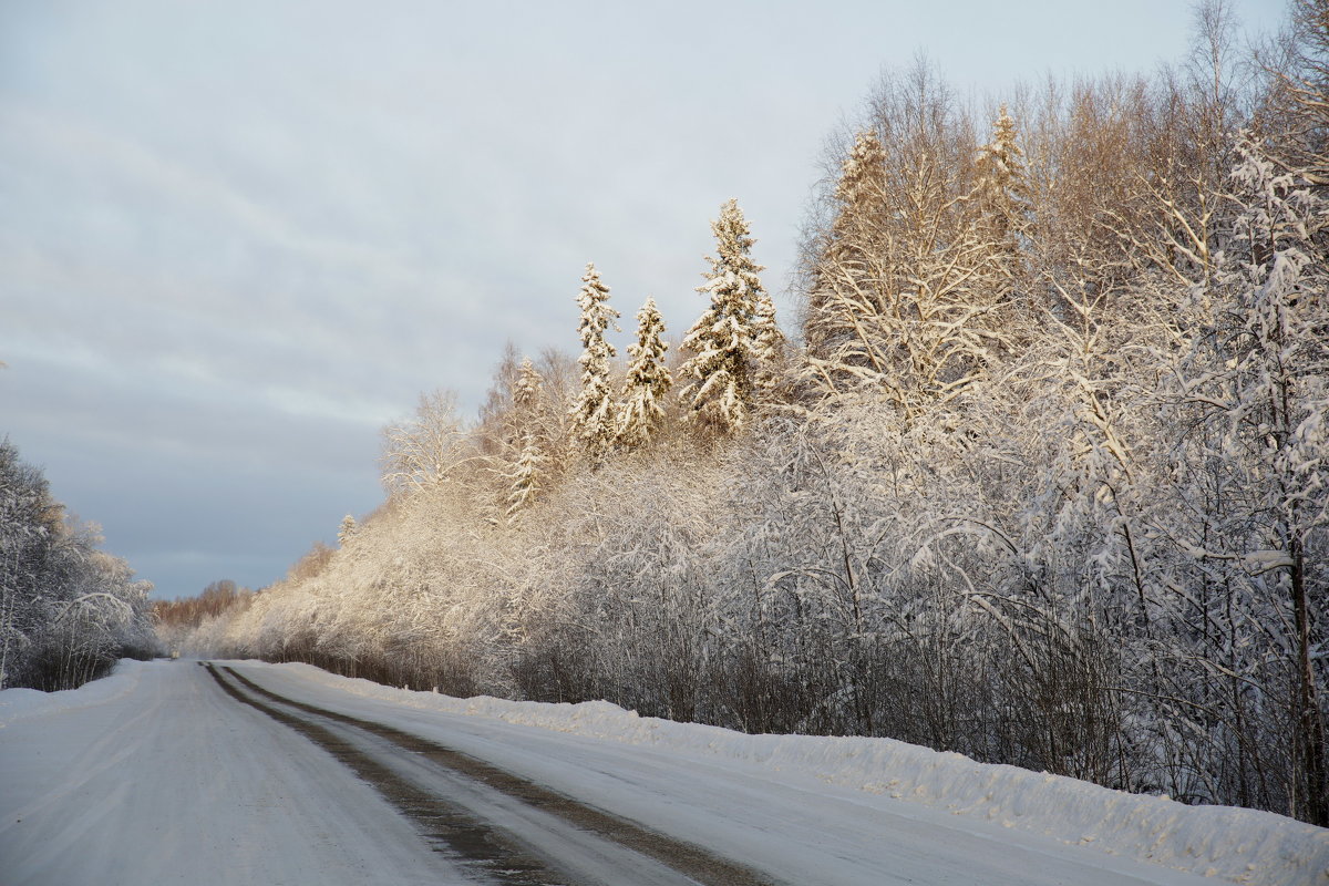 Зимняя дорога - Андрей 