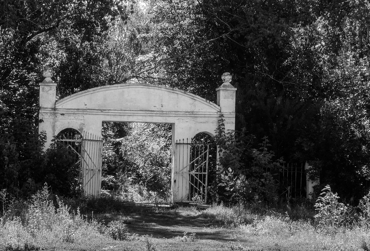 Ворота в старый парк - Наталья Усенко