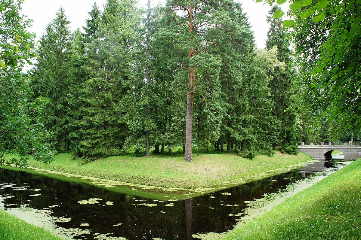 П-образный пруд в Верхнем парке - Елена Павлова (Смолова)