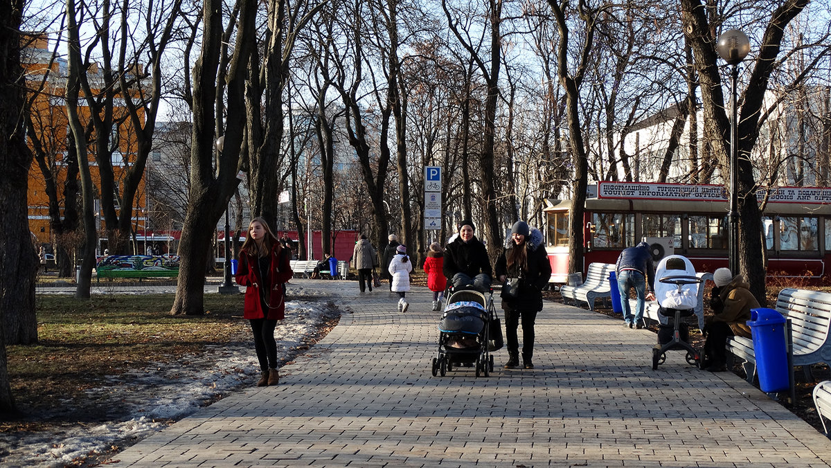 Погожий зимний  день в  "Университетском парке" - Владимир Бровко