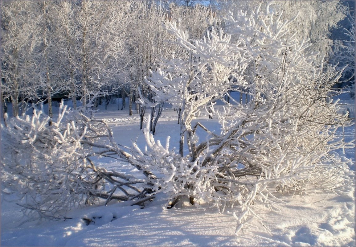 Зима - Ната Волга
