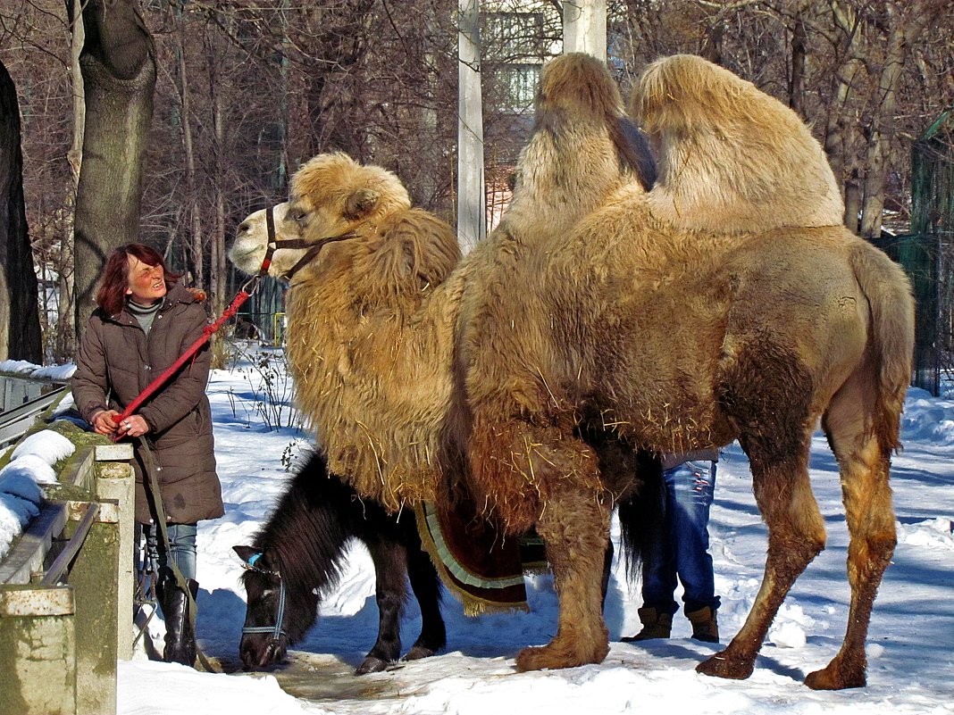 однажды днем... - Александр Корчемный