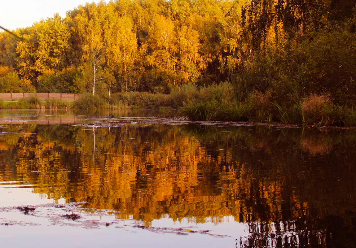 осень - Краснов  Ю Ф 