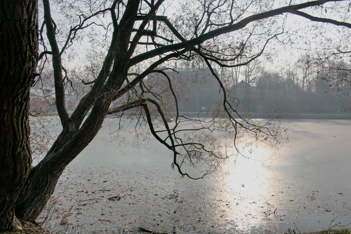 Морозное утро в Загорске - Надежда Баликова