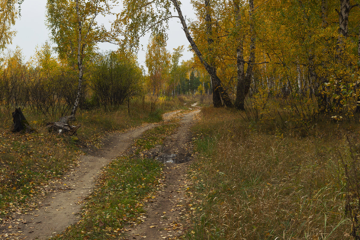 Осень - Kassen Kussulbaev
