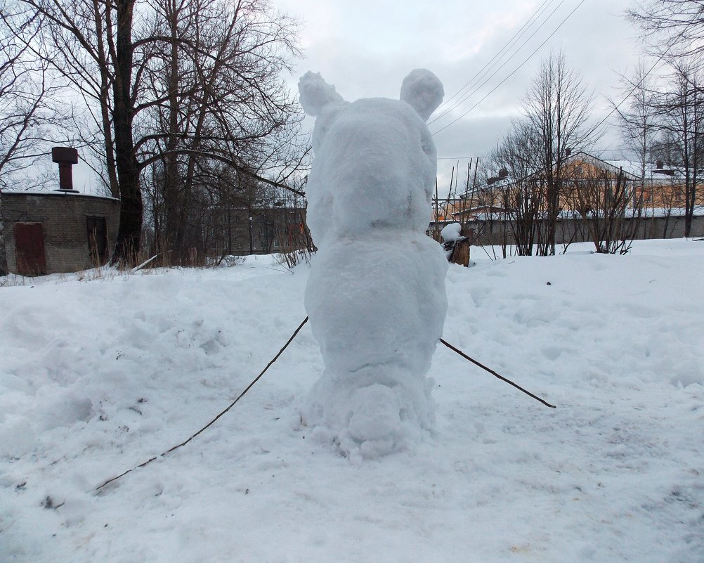 Снежный медведь вверх ногами - Фотогруппа Весна