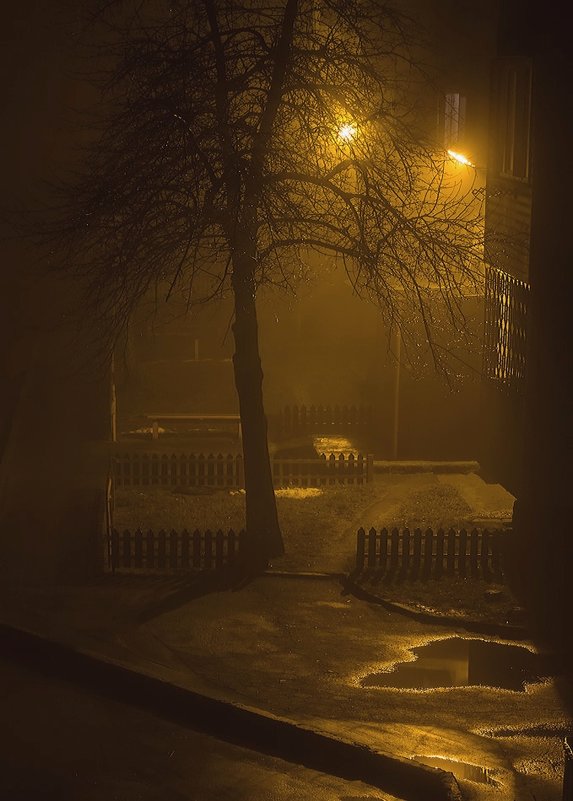 Ночь, улица, фонарь.... - Ирина Приходько
