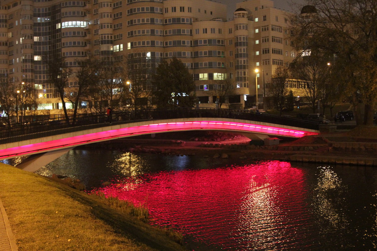 Мост - Станислав Янушко