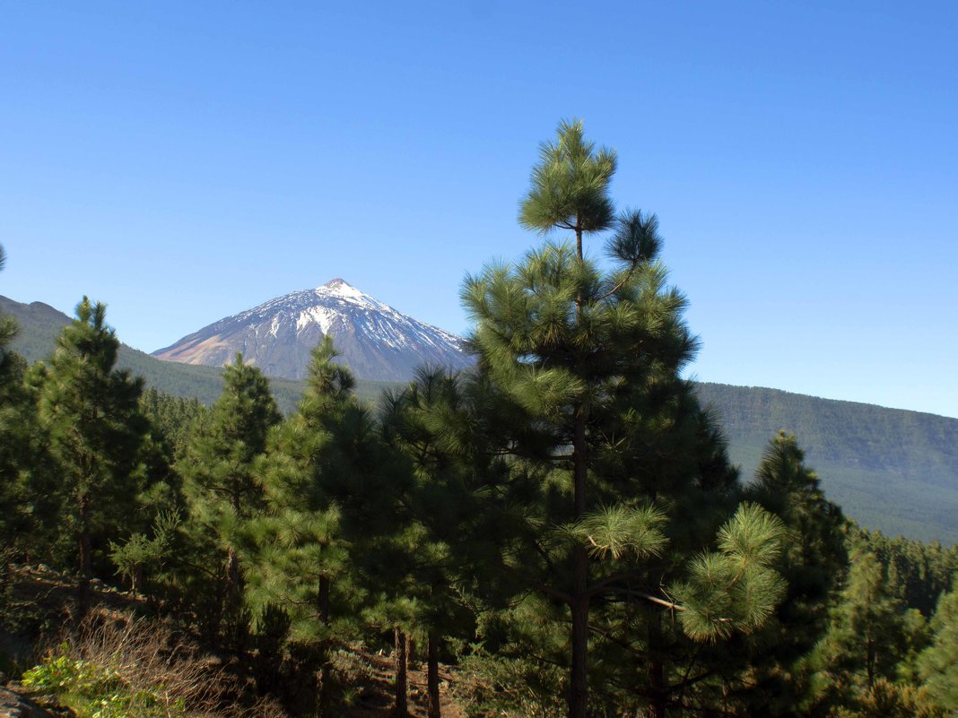 Teide - Lena Li