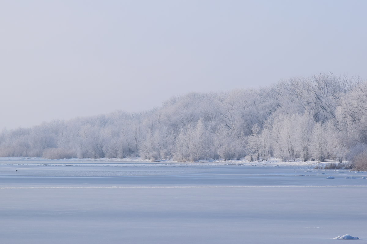 Кумженская роща зимой с правого берега Дона - Agnivarshi Малтыз