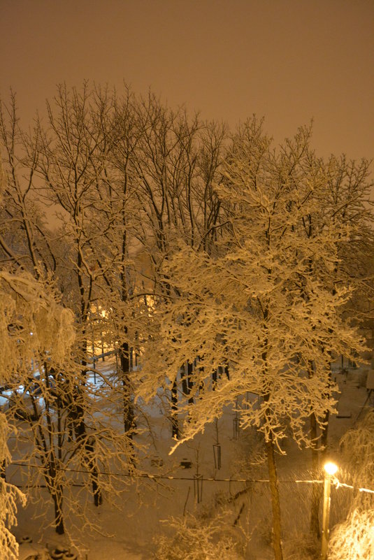 первый снег - Анастасия 
