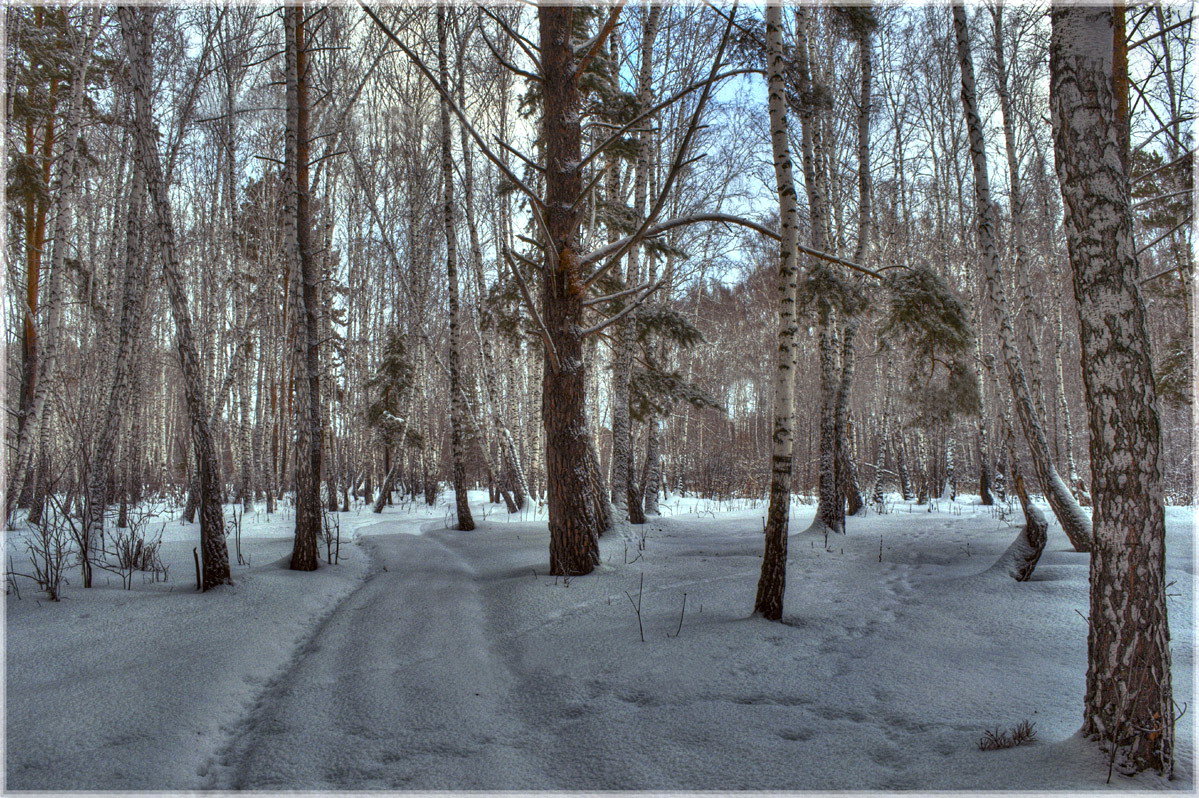 Вечер в зимнем лесу - Сергей Афонякин