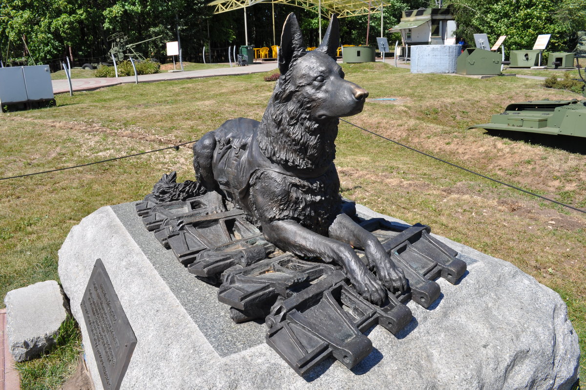 Памятник собаке - Аня Тёмная