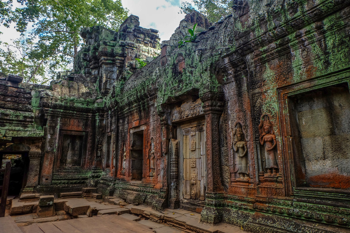 Камбоджа. В храме Та-Пром. XII век. - Rafael 