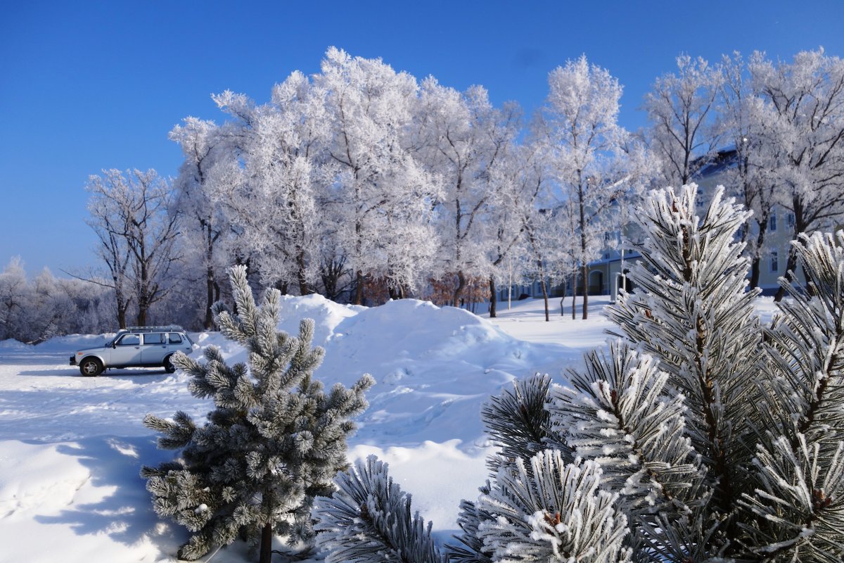 Красивый зимний день - Виктория Коплык