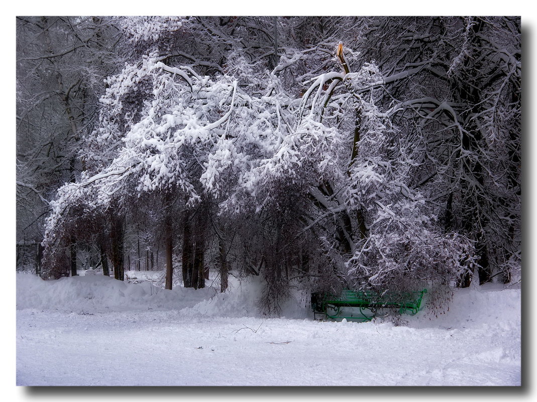 Зима в парке - GaL-Lina .