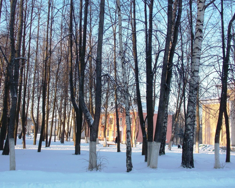 В зимнем парке - Фотогруппа Весна