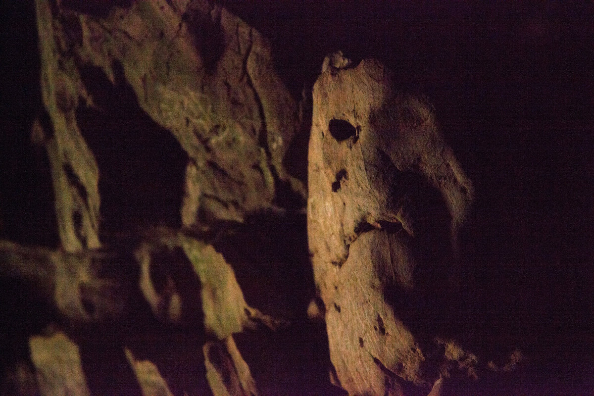 в пещере шаманов - михаил коровин