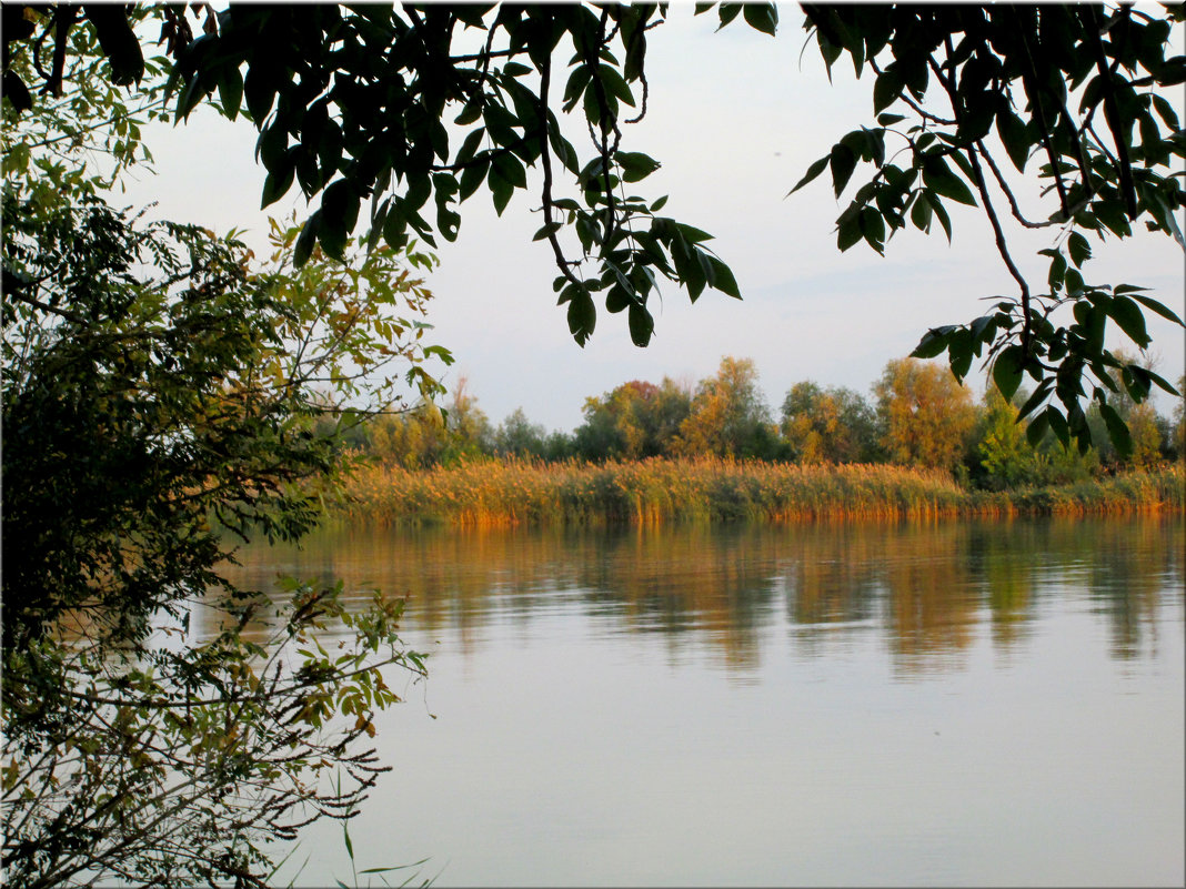 Осенний берег у реки... - Тамара (st.tamara)