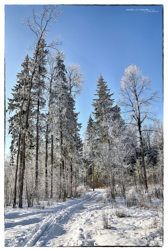 Зима. Январь. Зеленоград - Dimсophoto ©