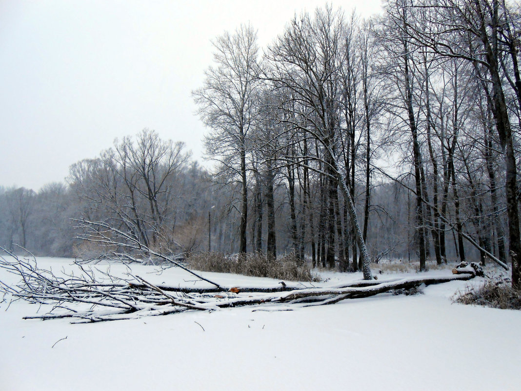 На речке зимой - Татьяна Гурова