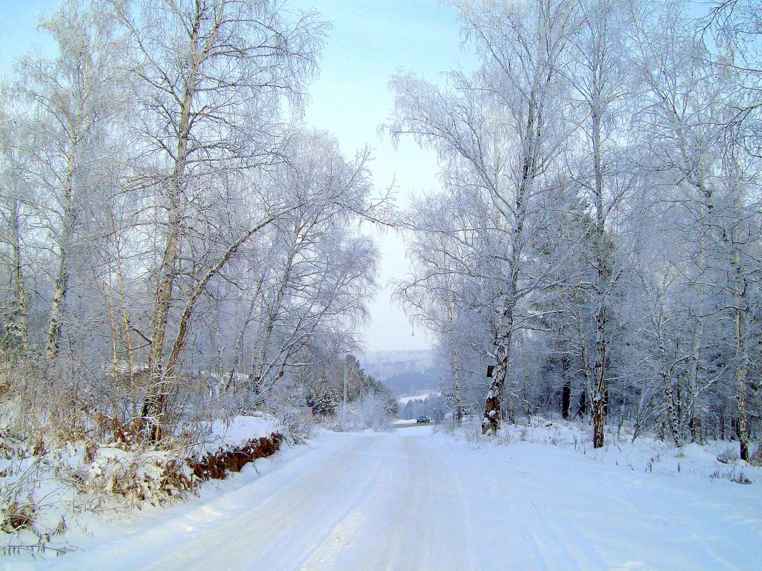 Зима в Сибири фото