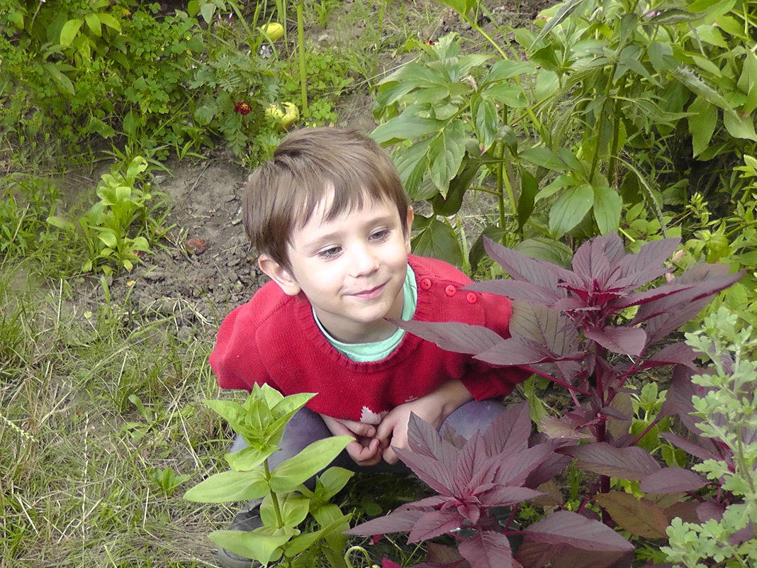 мальчик смотрит на растение - Сергей Дихтенко
