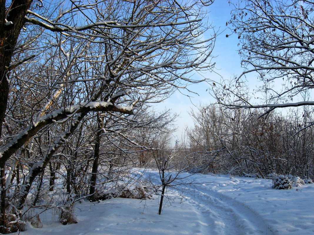 Прогулки по зиме - Natali 