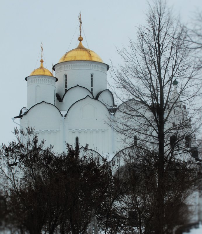 Покровский собор - Александра 