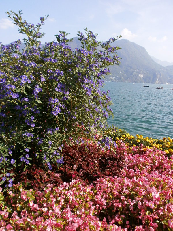 Lago De Lugano - Алёна Савина