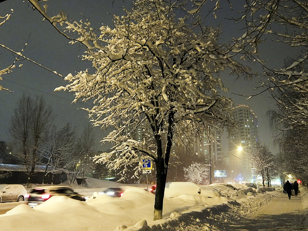 Снежный город - Ирина Шарапова