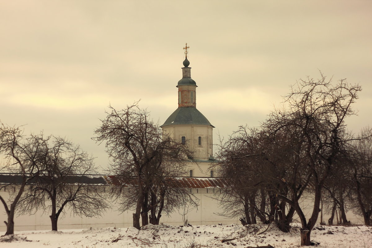 Монастырский  сад зимой - Сергей *