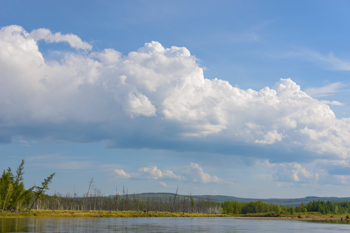 *** - Александр Хаецкий