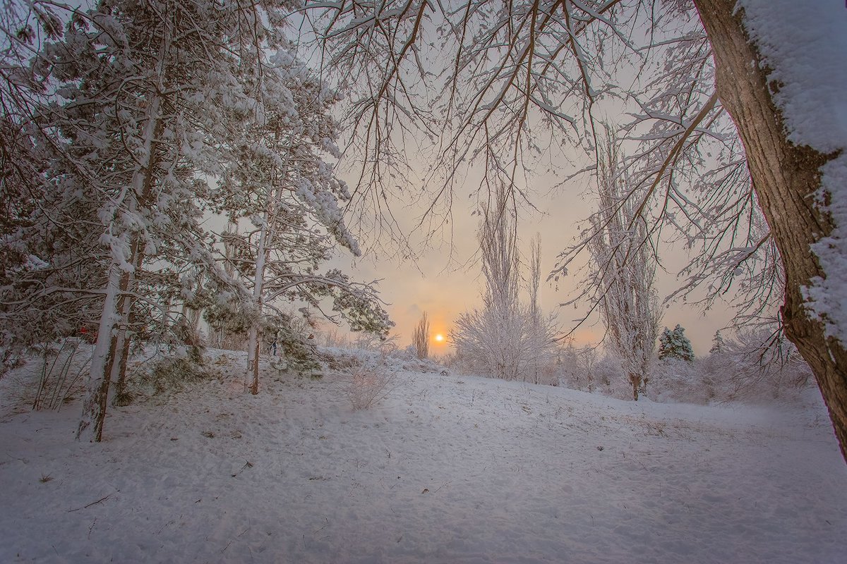Зима в Краснодаре - Tory Deeva