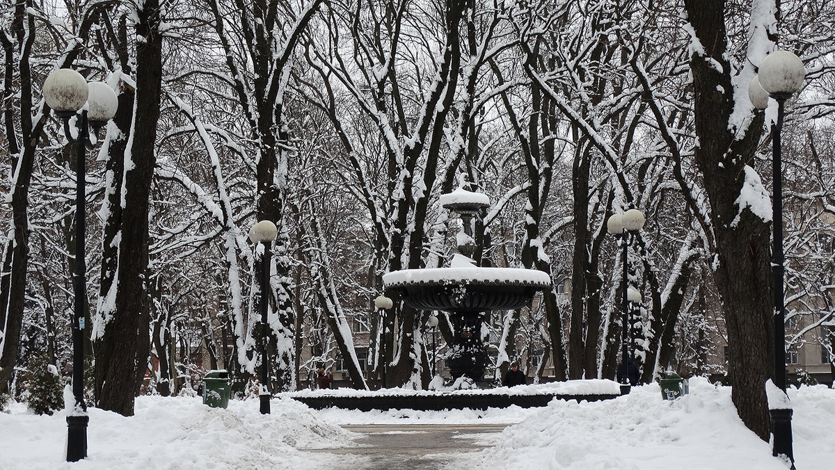 Зима в Мариинском парке Фото№1 - Владимир Бровко
