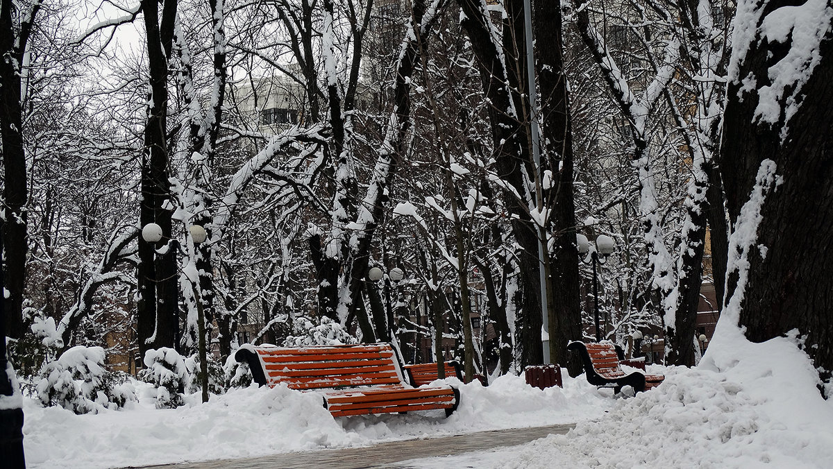 Зима в Мариинском парке  Фото №2 - Владимир Бровко