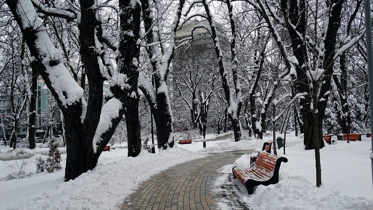 Зима в Мариинском парке Фото №3 - Владимир Бровко