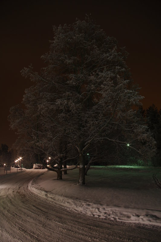 Зима, ночь,мороз. - Александр 