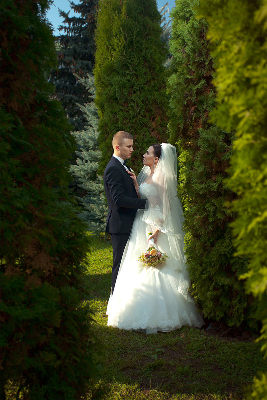 Жених и невеста в зеленом парке - Георгий Трушкин
