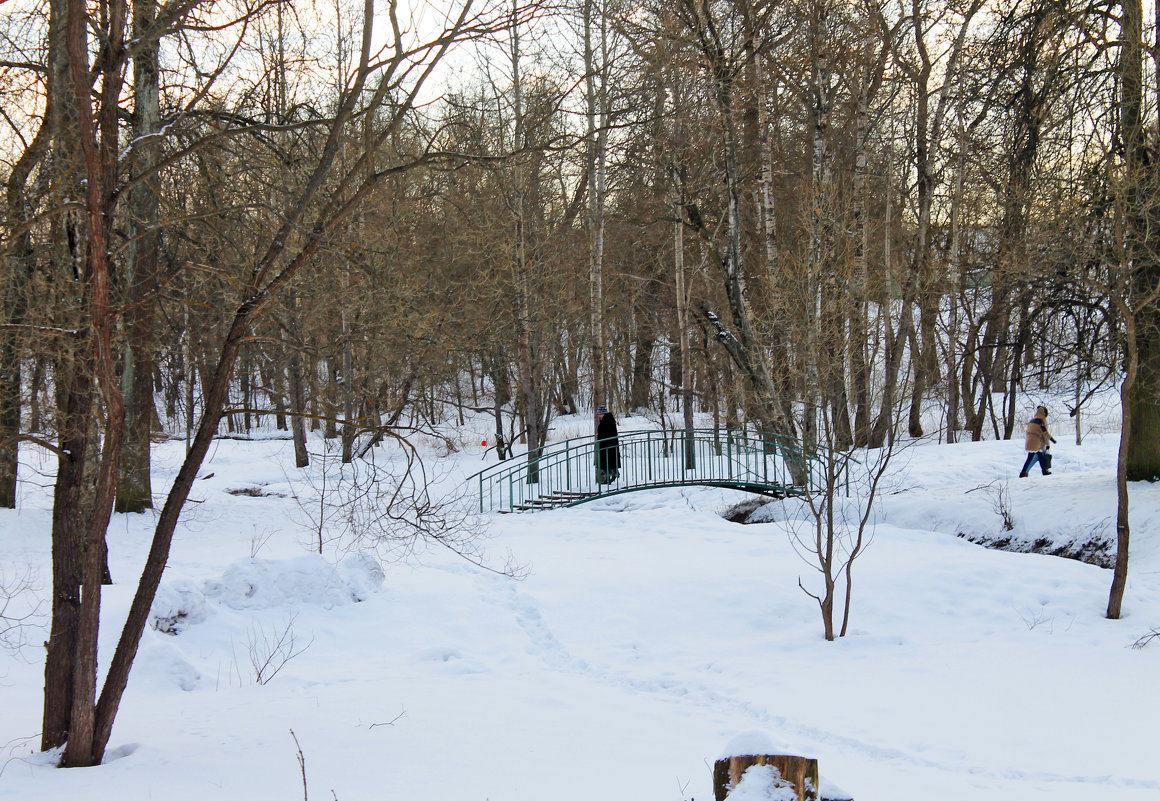 В парке "Красное Село" - Алла Aпшиник