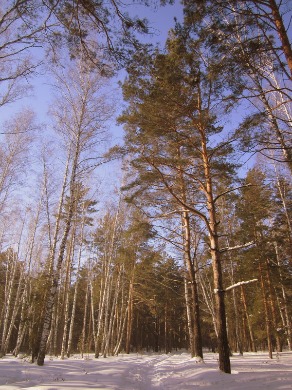 *** - Мила Бовкун