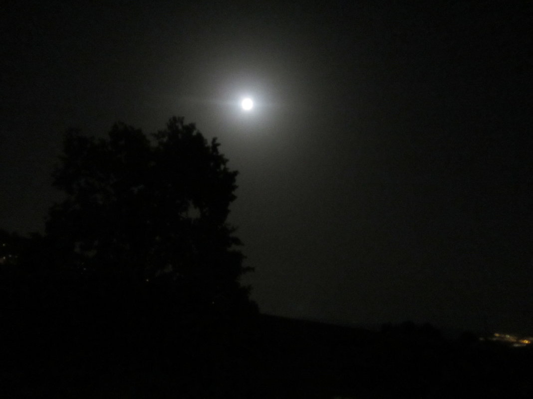 Лунная ночь - Герович Лилия 